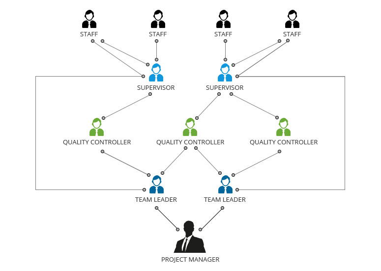 professional data entry team structure